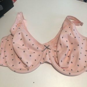 Lane Bryant bra